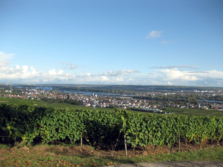 16 - Ausflug Rhein