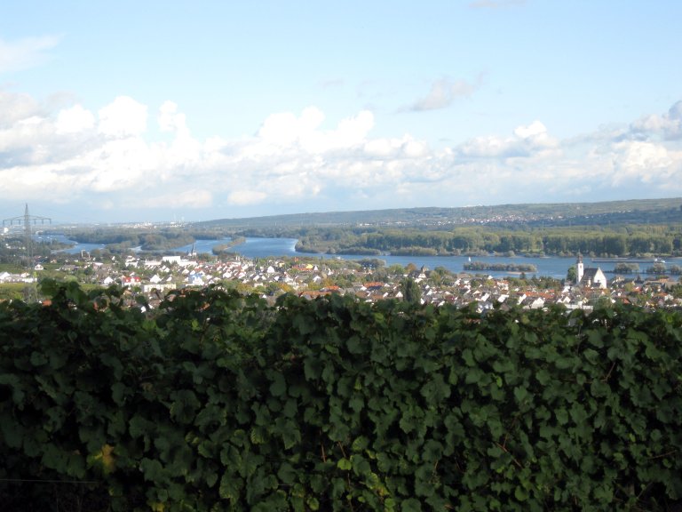 18 - Ausflug Rhein