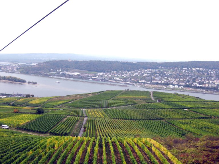 31 - Ausflug Rhein
