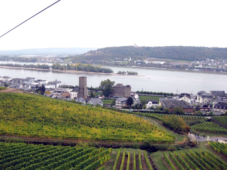 32 - Ausflug Rhein